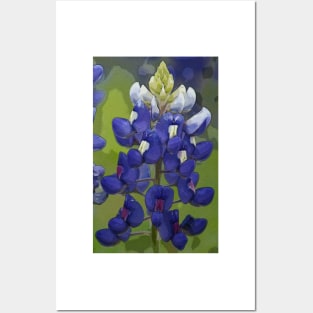 Texas Bluebonnet Posters and Art